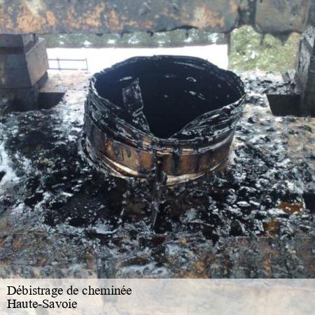 ramonage-74-2