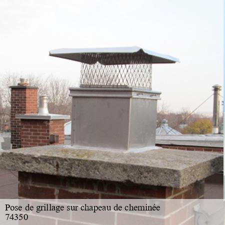 ramonage-74-2